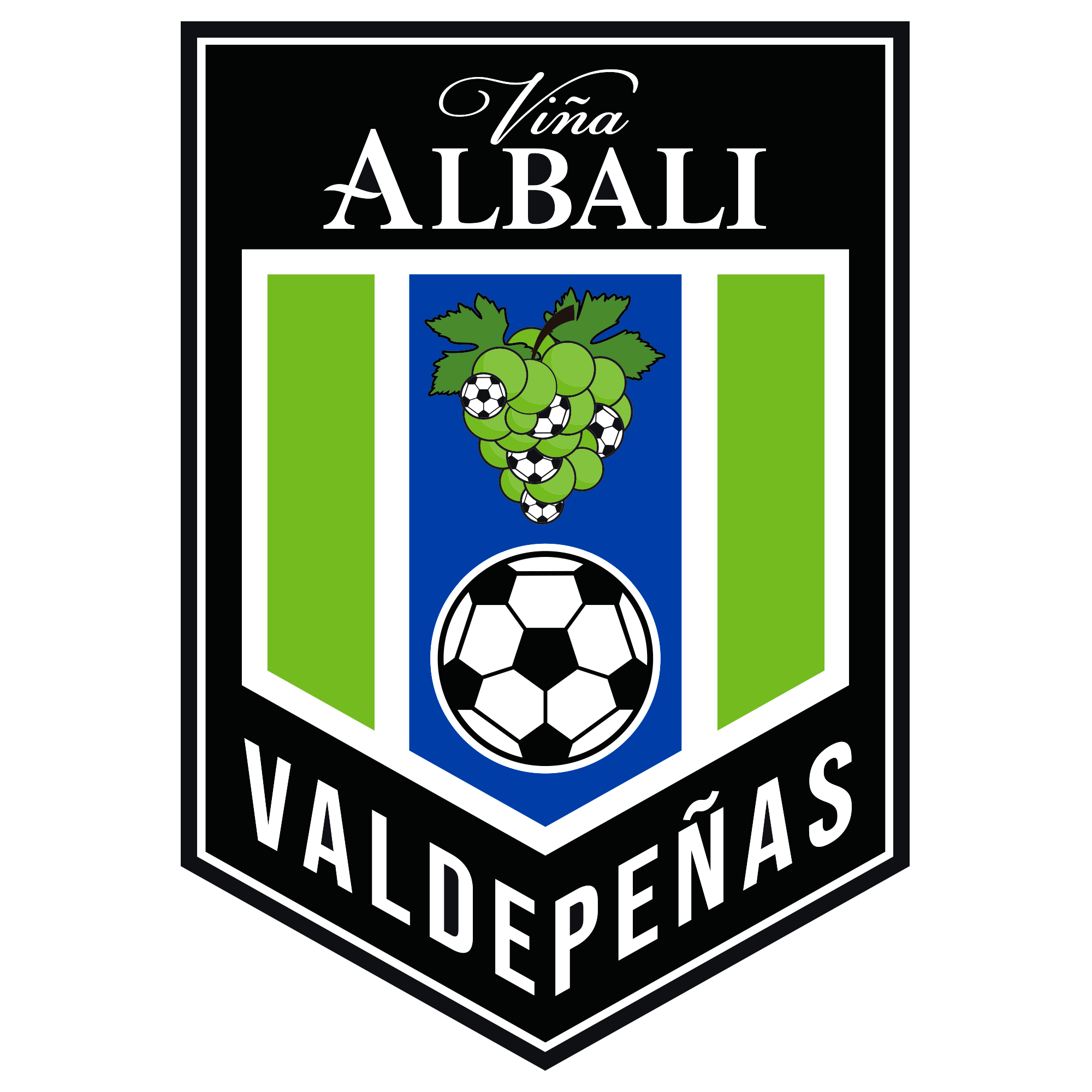 logo Viña Albali Futsal
