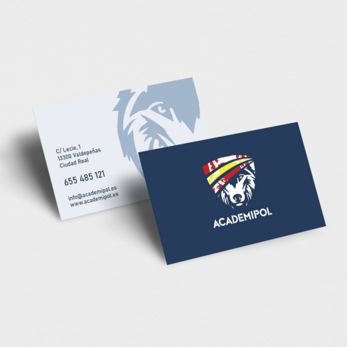 Logo AcademiPol