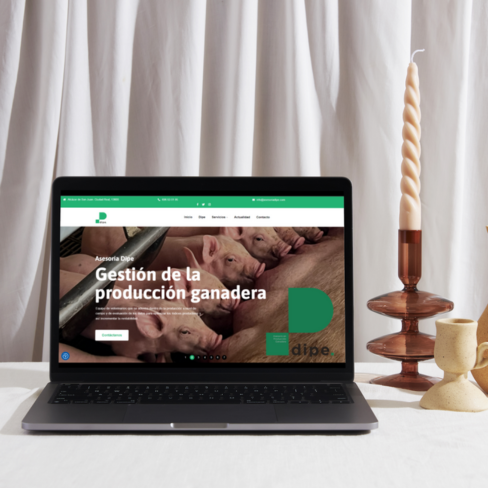 Web Asesoría Dipe