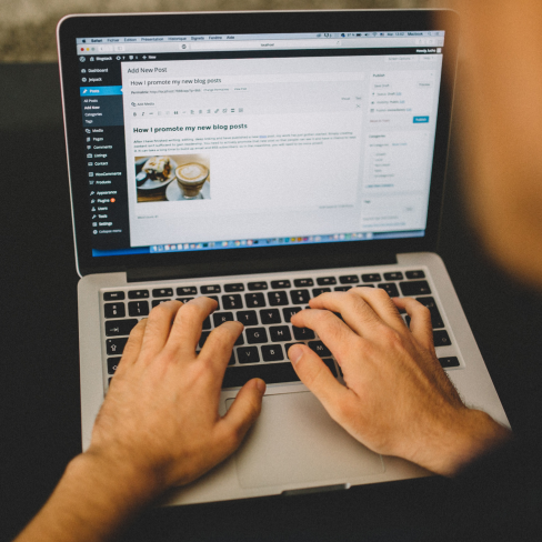 Taller de WordPress curso 22/23